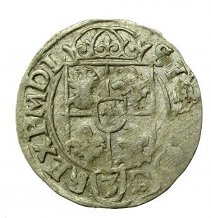 Sigismund III Vasa, Half-track 1616, Bydgoszcz (508)