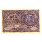 II RP, 1.000 mkp 1919 1a Serie M (1077)