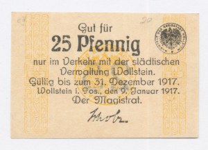 Wollstein / Wolsztyn, 25 fenig 1917 (1098)