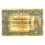 Ungheria, 1.000 corone 1920 (1203)