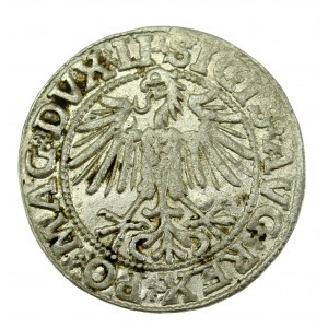 Sigismond II Auguste, demi-penny 1549, Vilnius - LI/LITVA (603)