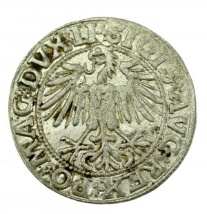 Zikmund II August, půlgroše 1549, Vilnius - LI/LITVA (603)