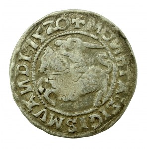 Sigismund I the Old, half-penny 1520, Vilnius, SIGISMVANDI - reversed N (604)