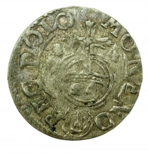 Sigismund III Vasa, Half-track 1624, Bydgoszcz (606)