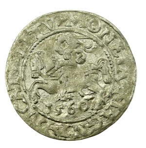 Sigismondo II Augusto, mezzo penny 1560, Vilnius - L/LITV (608)