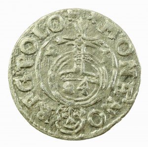 Sigismondo III Vasa, Półtorak 1623, Bydgoszcz (610)