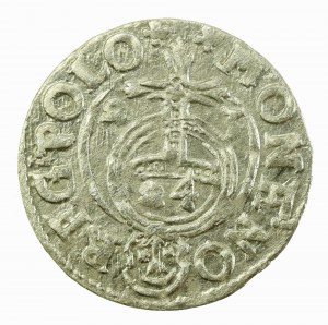 Sigismund III. Vasa, Półtorak 1623, Bydgoszcz (610)