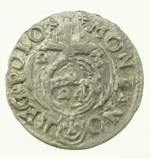 Sigismund III Vasa, Half-track 1623, Bydgoszcz (612)