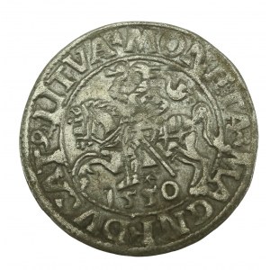Sigismund II Augustus, Half-penny 1550, Vilnius, LI / LITVA (618)