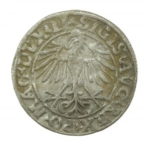 Sigismond II Auguste, demi-penny 1550, Vilnius, LI / LITVA (618)