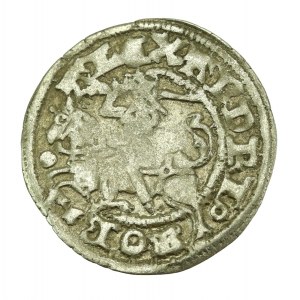 Aleksander Jagiellończyk, Półgrosz, Wilno - gotycki (619)
