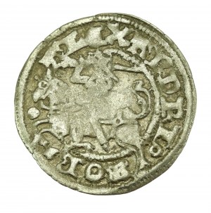 Alexander Jagiellonian, Half-penny, Vilnius-Gothic (619)