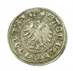 Alexander Jagiellonian, Halbpfennig, Wilna - Gotisch (619)