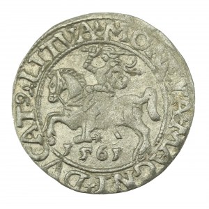 Sigismond II Auguste, demi-penny 1561, Vilnius - L/LITVA (620)
