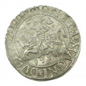Zygmunt II August, Półgrosz 1558, Wilno - L/LITV (622)