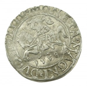 Sigismund II Augustus, Half-penny 1558, Vilnius - L/LITV (622)