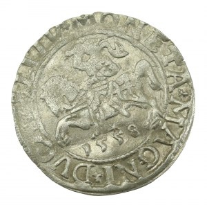 Zikmund II August, půlpenny 1558, Vilnius - L/LITV (622)