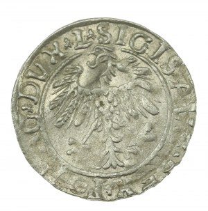 Sigismund II Augustus, Half-penny 1558, Vilnius - L/LITV (622)