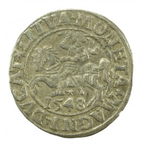 Sigismund II Augustus, Half-penny 1548, Vilnius - LI/LITVA (625)