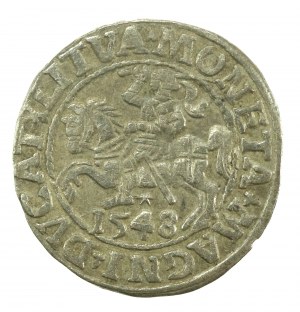 Sigismund II Augustus, Halbpfennig 1548, Wilna - LI/LITVA (625)