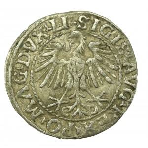 Sigismond II Auguste, demi-penny 1548, Vilnius - LI/LITVA (625)