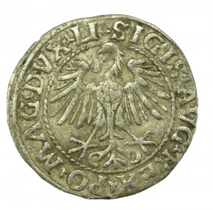 Sigismond II Auguste, demi-penny 1548, Vilnius - LI/LITVA (625)