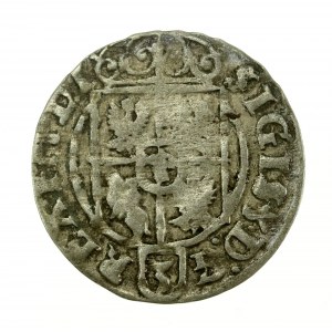 Sigismund III Vasa, Half-track 1625, Bydgoszcz (627)