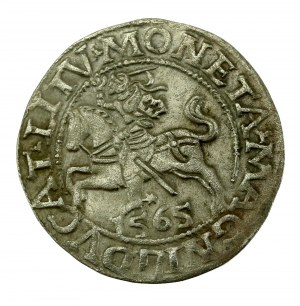 Sigismondo II Augusto, mezzo penny 1565, Vilnius - L/LITV (628)
