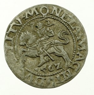 Sigismondo II Augusto, mezzo penny 1562 Vilnius, L / LITV (631)