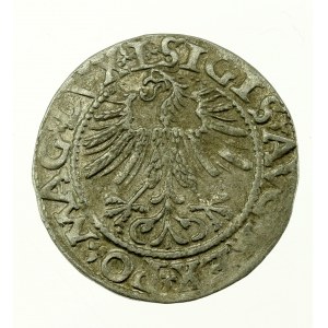 Sigismund II. Augustus, Halbpfennig 1562 Wilna, L / LITV (631)