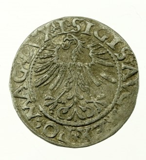Sigismondo II Augusto, mezzo penny 1562 Vilnius, L / LITV (631)