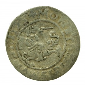 Sigismond Ier le Vieux, demi-penny 1523, Vilnius (632)