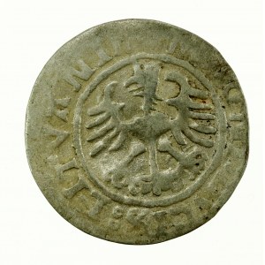 Sigismondo I il Vecchio, mezzo penny 1523, Vilnius (632)