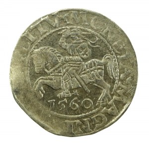 Sigismund II. Augustus, Halbpfennig 1560, Wilna - L/LITV (633)