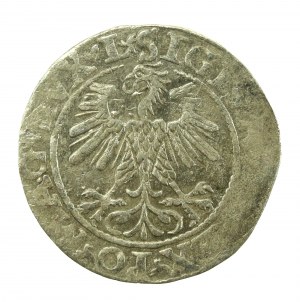 Sigismond II Auguste, demi-penny 1560, Vilnius - L/LITV (633)