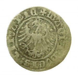 Sigismondo I il Vecchio, mezzo penny 1518, Vilnius (634)