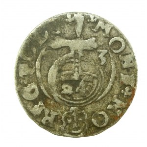 Sigismund III Vasa, Half-track 1623, Bydgoszcz - Saxon in decorative shield (635)