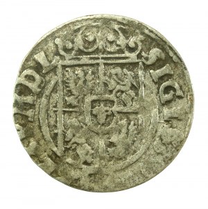 Sigismund III Vasa, Half-track 1623, Bydgoszcz - Saxon in decorative shield (635)
