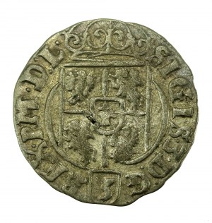 Sigismund III Vasa, Half-track 1625, Bydgoszcz (636)