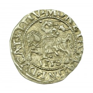 Sigismondo II Augusto, mezzo penny 1559, Vilnius - L/LITV (637)