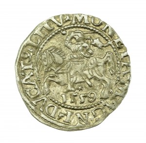 Sigismondo II Augusto, mezzo penny 1559, Vilnius - L/LITV (637)