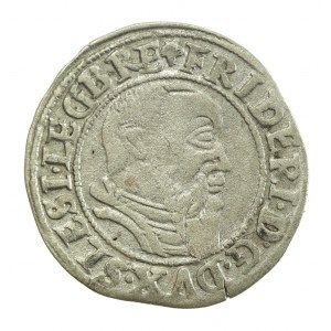 Slezsko, knížectví legnicko-brzesko-wołowo, Fridrich II., Penny 1544, Legnica (701)