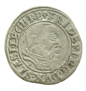 Slezsko, knížectví legnicko-brzesko-wołowo, Fridrich II., Penny 1544, Legnica (701)
