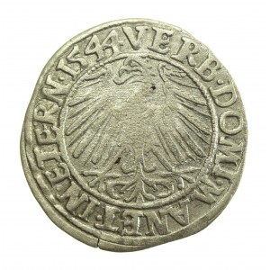 Silesia, Duchy of Legnicko-Brzesko-Wołowo, Frederick II, 1544 penny, Legnica (701)
