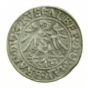 Ducal Prussia, Albrecht Hohenzollern, 1535 penny, Königsberg (703)