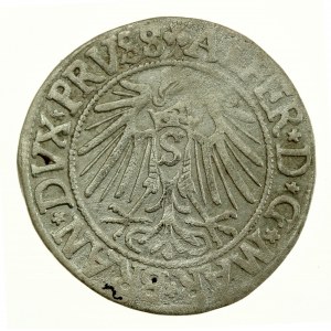 Ducal Prussia, Albrecht Hohenzollern, 1542 penny, Königsberg (705)