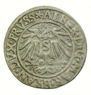 Ducal Prussia, Albrecht Hohenzollern, 1538 penny, Königsberg (706)