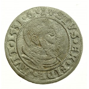 Knížecí Prusko, Albrecht Hohenzollern, penny 1531, Königsberg - PRVS (707)