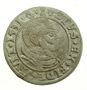 Herzogliches Preußen, Albrecht Hohenzollern, Pfennig 1531, Königsberg - PRVS (707)