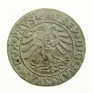 Kniežacie Prusko, Albrecht Hohenzollern, penny 1531, Königsberg - PRVS (707)